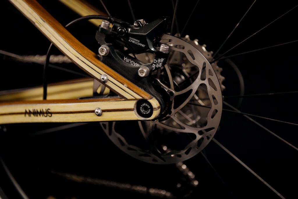 ANIMUS-BIKE-BICI-CARBONIO-LEGNO-VICENZA-CITY-BIKE-001