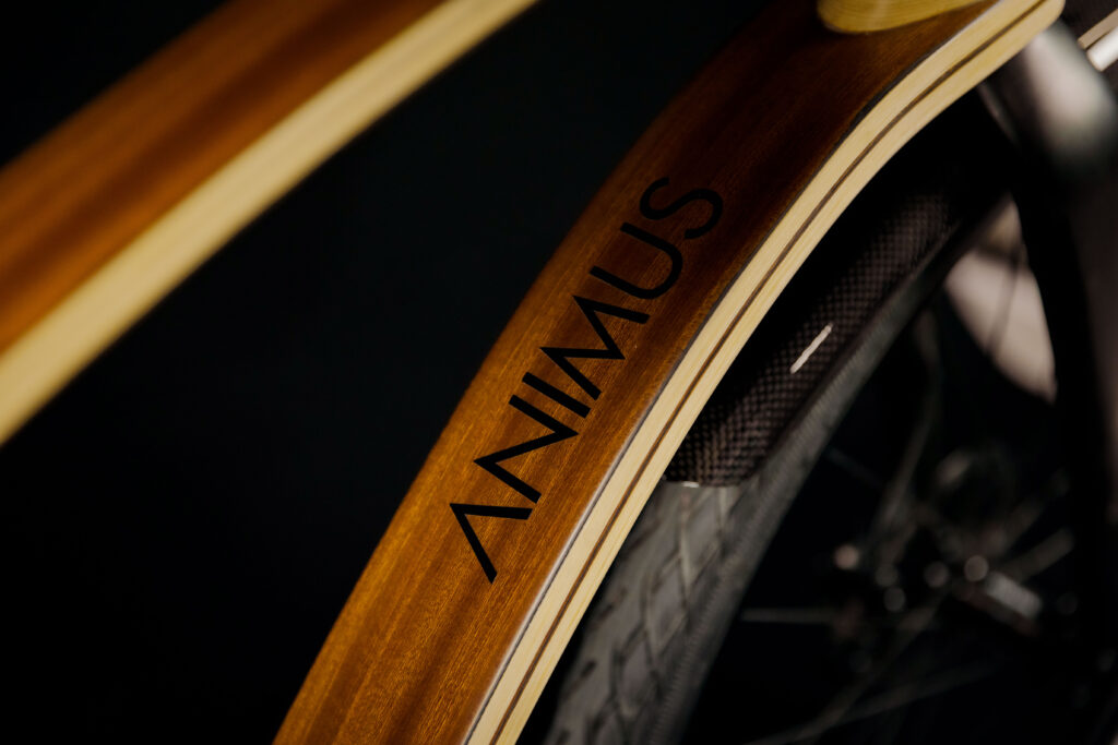 ANIMUS-BIKE-BICI-CARBONIO-LEGNO-VICENZA-CITY-BIKE-005
