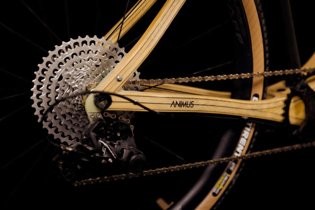 ANIMUS-BIKE-BICI-CARBONIO-LEGNO-VICENZA-GRAVEL-002