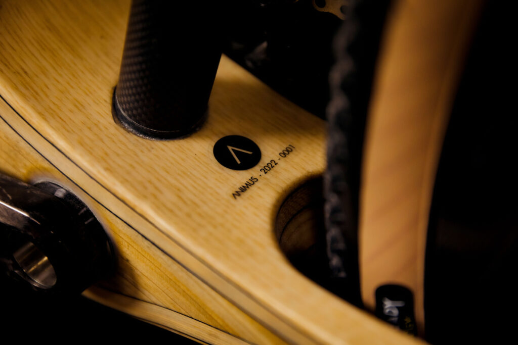 ANIMUS-BIKE-BICI-CARBONIO-LEGNO-VICENZA-GRAVEL-005